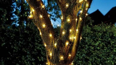 100 Warm White Firefly String Lights | Smart Garden